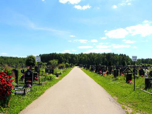 Дементьевское кладбище